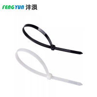 沣涢 束线带 5*250mm 根