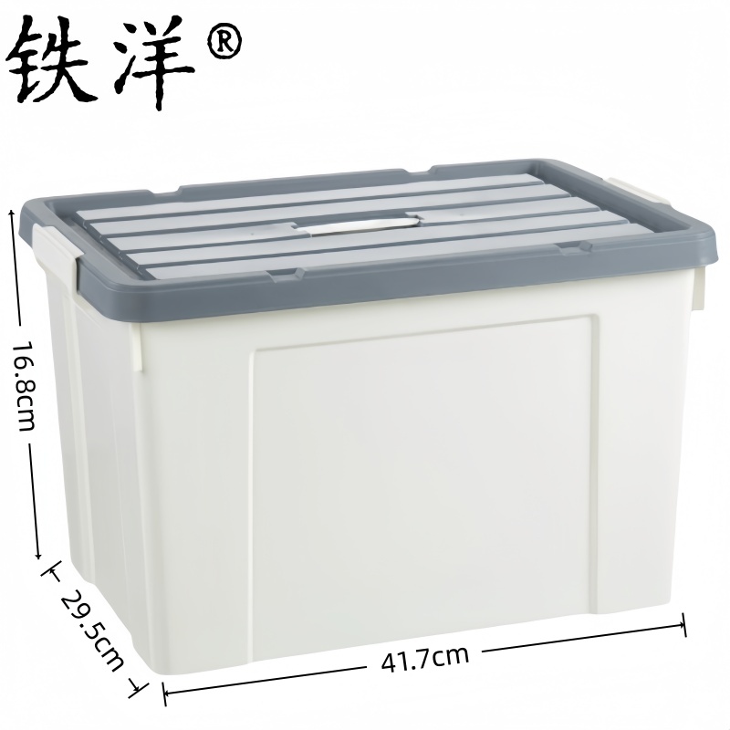 铁洋 整理收纳箱 20L(41.7cm*29.5cm*16.8cm) 个