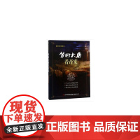 梦回大唐看奇案 姜正成 吉林出版集团股份有限公司 正版书籍