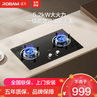 老板(Robam)[星辰系列]燃气灶家用双灶嵌入式煤气灶 5.2kW可调节小尺寸灶具灶台猛火灶一级能效20B2A天然气
