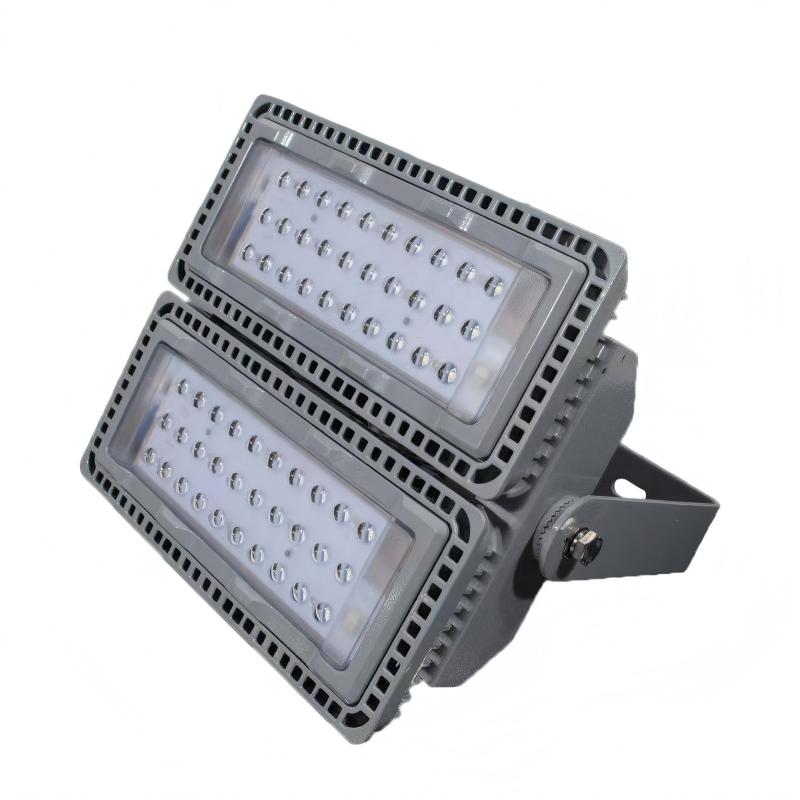 鑫彪LED泛光灯100W/个