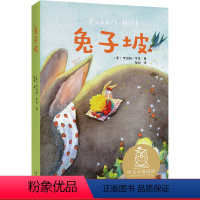 [正版]坡 罗伯特·罗素 纽伯瑞儿童文学奖金奖作品 全彩插图 7-8岁适读 中文分级阅读二年级 课外读物 儿童文学