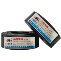 三恒 多芯软线ZC-RVV 2×0.5mm² 米