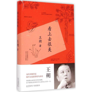 [M]看上去很美-9787530213735