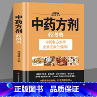 中药方剂轻图典 [正版] 中药方剂轻图典 有效验方中药方剂药膳食疗 中药功效 配伍及应用方剂的组成及主治 的中药方剂中药
