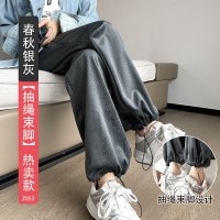 窄版阔腿裤女秋季新款休闲雪尼尔加绒加厚直筒休闲显瘦针织裤