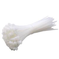 顺鸿森 国标 尼龙扎带8*300mm 条