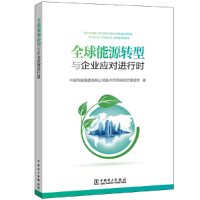 正版新书]全球能源转型与企业应对进行时中国华能集团有限公司技