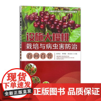 设施大樱桃栽培与病虫害防治百问百答 田利光,李明丽,原文刚 编 中国农业出版社9787109314559