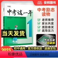 中考这一年第2辑 初中通用 [正版]2023这一年青春励志读物中学生阅读书籍初三复习资料适读青少年成长故事初中必读课外阅