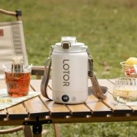 LOTOR电热水杯便携式烧水壶旅行烧水杯加热水杯电炖杯迷你烧水壶冲奶