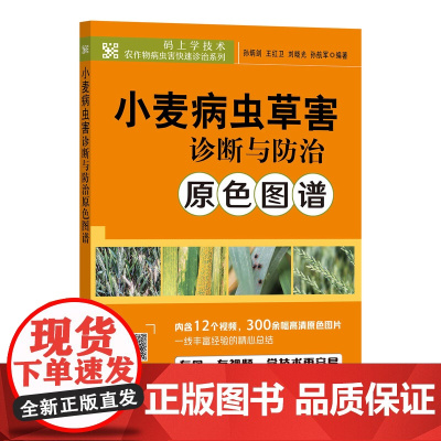 小麦病虫草害诊断与防治原色图谱 9787109325364 中国农业出版社