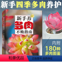 [正版]新手养多肉不败指南 多肉书籍大全技术品种图鉴多肉书养殖方法种植教程零基础养多肉养护怎么种图谱养花入门的书花卉植