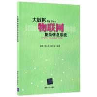 正版新书]大数据物联网复杂信息系统梁循//杨小平//赵吉超978730