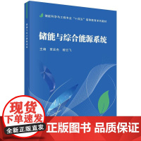 储能与综合能源系统 9787030808226