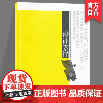 正版 设计素描高等院校艺术设计专业教学研究丛书 胡专一著湖南美术出版社