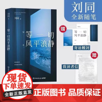 等一切风平浪静 刘同全新随笔 十年蜕变之作 低落时刻自救人生治愈励志文学随笔散文书籍青春心灵故事小说集