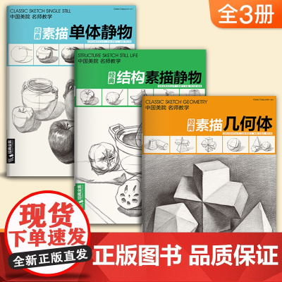 [3本套装]素描几何体+结构素描静物+素描单体静物零基础初学者解剖与透视训练入门组合绘画大关系透视美术基础技法单个体