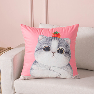 抱枕靠垫客厅网红卡通logo沙发靠枕套汽车办公室护腰靠背垫可拆洗