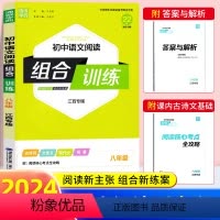 语文阅读组合训练[江西专版] 八年级/初中二年级 [正版]江西专版2024版通城学典初中语文阅读组合训练八年级初二人教版