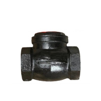 伟鹏双兴 铸铁丝扣卧式止回阀 DN20(6分) 个