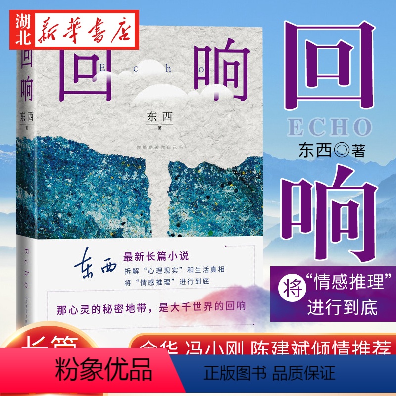 [正版]第十一届茅盾文学奖获奖作品回响 东西 冯小刚导演 宋佳王阳包贝尔主演悬疑作品原著小说 拆解心理现实和生活真相