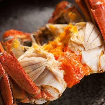 赛卡伊 ]满膏满黄大闸蟹特大螃蟹鲜活全公母海鲜河蟹水产礼盒4/16只