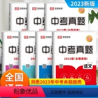 [全套7册]中考真题汇编 全国通用 [正版]中考真题汇编 全套7本语文数学英语物理化学政史九年级上下册中考模拟试卷初三辅