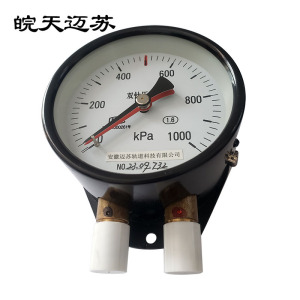 皖天迈苏 YCS-100双针压力表 0-1000kpa 块