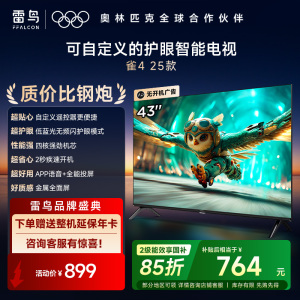雷鸟雀4 25款43英寸4K 高清智能网络WiFi语音低蓝光认证液晶平板电视机43F195C