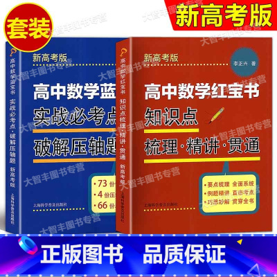高中数学 红宝书+蓝宝书(2本) 高中通用 [正版]新高考版数学蓝宝书 红宝书 实战必考点 破解压轴题+知识点梳理精讲贯