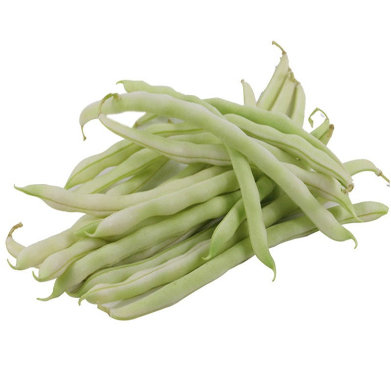5kg 顺丰 东北白豆角 农家新鲜蔬菜四季豆 芸豆白架豆白不老