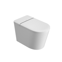 金牌卫浴GOLD R11Q隐藏水箱 轻智能马桶 KA(含安装)RF3210Q(400坑距)