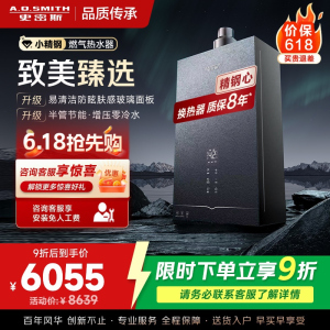 AO史密斯新品小体积16升零冷水燃气热水器[小精钢EJ5Wi]增压大水量恒温 节能