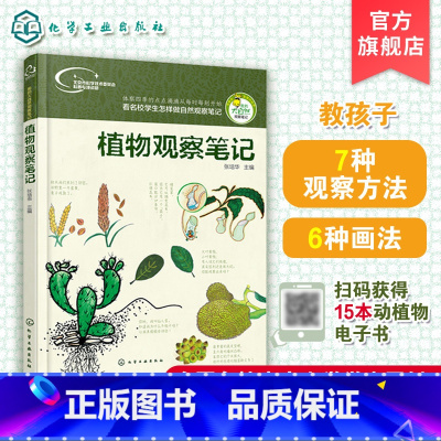 [正版]我的大自然观察笔记 植物观察笔记 名校小学生手绘原创培养思维观察训练 动植物科普绘本 6-12岁小学课外阅读百