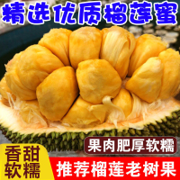 [西沛生鲜]海南榴莲蜜 大果 7-8斤 1-4个