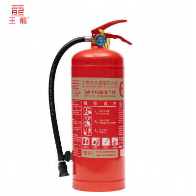 王龙 手提式水基型灭火器 6升 具