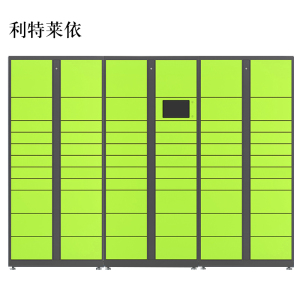 利特莱依智能快递柜小区快递自提柜派件柜室外寄存柜信报箱储物柜一主两副65格