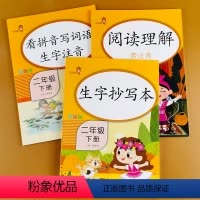 [正版]全套3册二年级下册 阅读理解训练题书+生字抄写本+看拼音写词语生字注音人教版每日一练小学语文同步训练新课堂练习