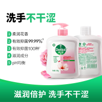 Dettol 滴露滋润倍护健康洗手液500g+500g抑菌99.9%花果香温和护手不刺激儿童可用