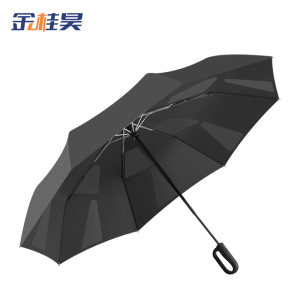 金桂昊 雨伞 J01 把