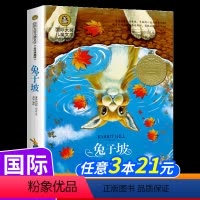 [国际大奖儿童文学]兔子坡 [正版]长腿叔叔书籍国际大奖小说外国经典儿童文学插图美绘版小学生三四五六年级课外书必读老师阅