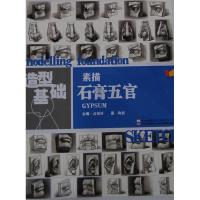 正版新书]造型基础陶波素描石膏五官高银河 陶波9787538658392