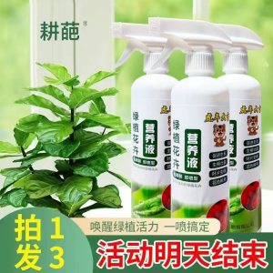 [补贴10%]免稀释营养液植物通用型肥料室内盆栽发财树绿萝养花喷洒发黄烂根