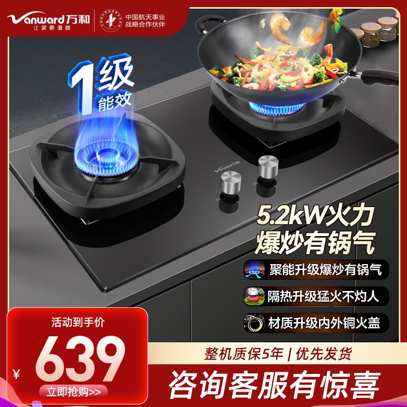 万和(Vanward) 超一级能效天然气双灶 双眼燃气灶 单灶具 5.2KW火力钢化玻璃 可调底座G6L50