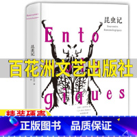 昆虫记[百花洲文艺出版社] [正版]昆虫记百花洲文艺出版社法布尔原著六年级上下册必读江西赣州市阅读精装硬壳李名晓译小学生