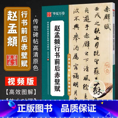 [正版] 赵孟頫行书前后赤壁赋 原碑高清放大例字讲解毛笔字练习 传世碑帖高清原色放大对照本 赵体行书毛笔字帖初学者入门