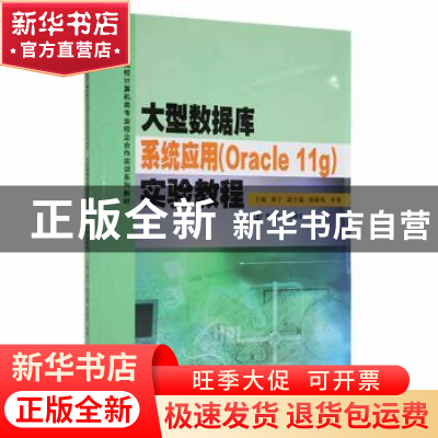 正版 大型数据库系统应用(Oracle 11g)实验教程 杨宁主编 南京大
