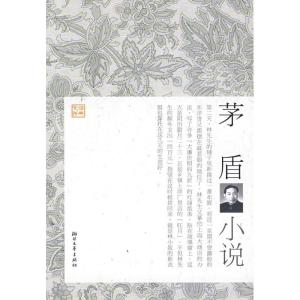 正版新书]茅盾小说/经典文存傅光明9787533929022