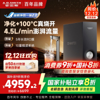 AO史密斯佳尼特加热净水器厨下家用直饮净水机净饮机CDR2500S2 高水效 蓝鲸新品净热一体2.0 真沸腾1800G